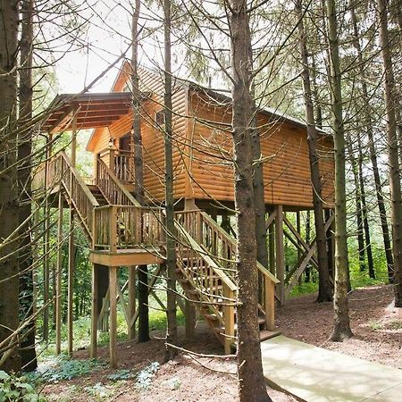 Whispering Pines Treehouse By Amish Country Lodging Millersburg Ngoại thất bức ảnh