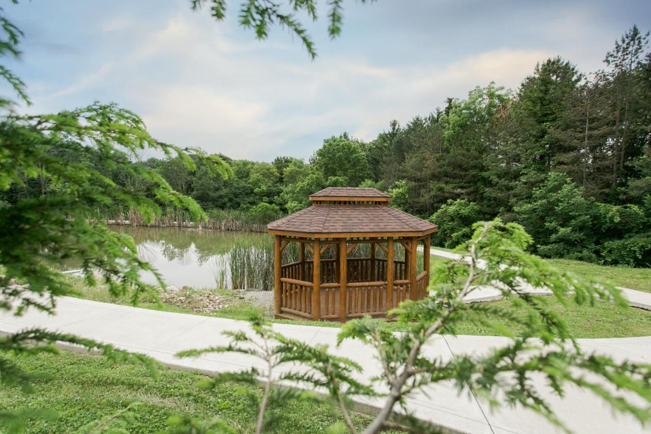 Whispering Pines Treehouse By Amish Country Lodging Millersburg Ngoại thất bức ảnh